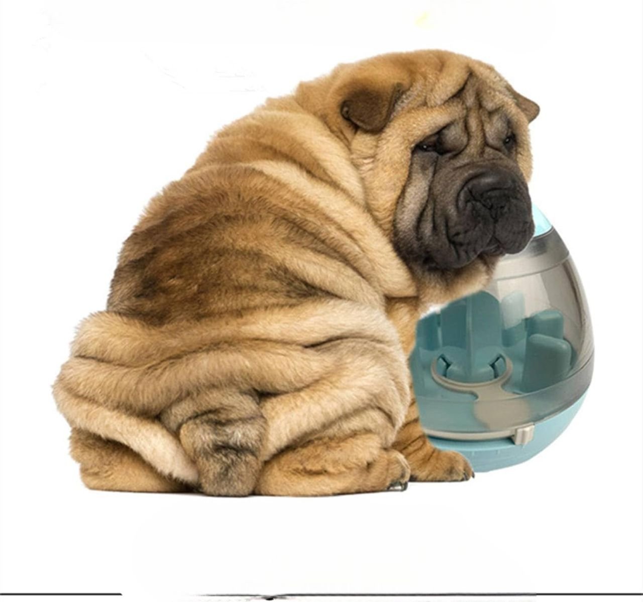 Distributeur de Croquettes pour Chien - FeedMaze™ - Bleu - Croq chien