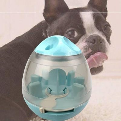 Distributeur de Croquettes pour Chien - FeedMaze™ - Bleu - Croq chien