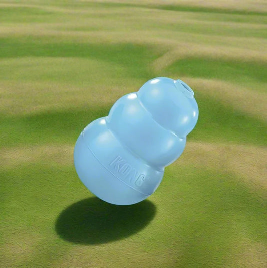 Jouet pour chien Indestructible - DogChewToy™ - Bleu - Croq chien
